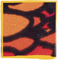 Motif Lyon